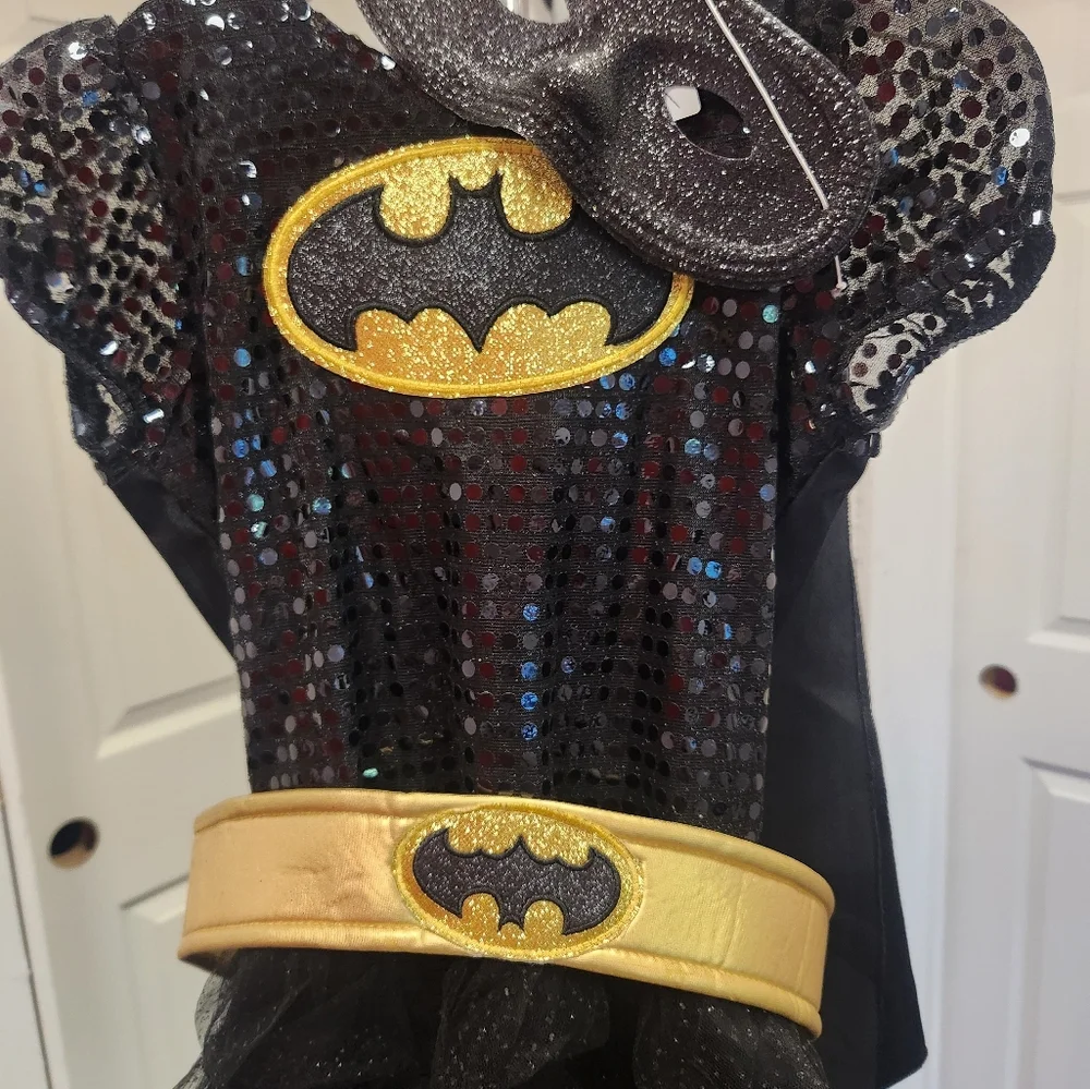 Batgirl costume